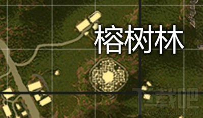 绝地求生刺激战场雨林跳伞地点攻略