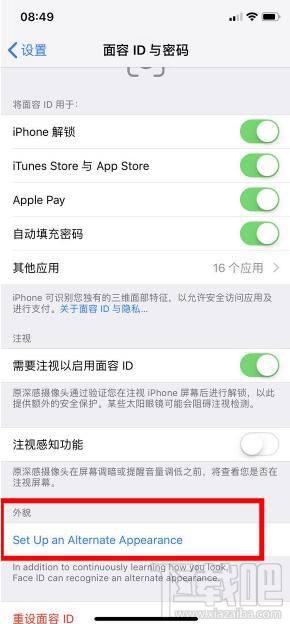 苹果xr面容可以设置几个?