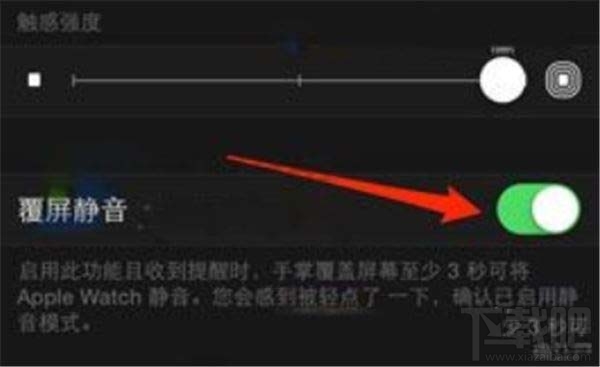Apple Watch Series 5怎么在手机上关闭静音模式?