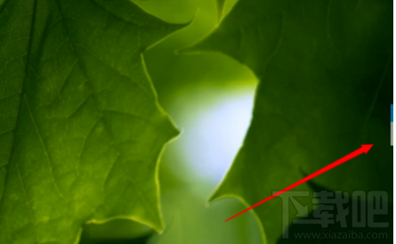 有道词典中迷你窗口怎么设置?有道词典中迷你窗口设置方法介绍