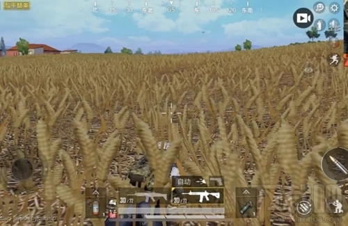 和平精英怎么应对伏地魔?伏地魔打法攻略分享