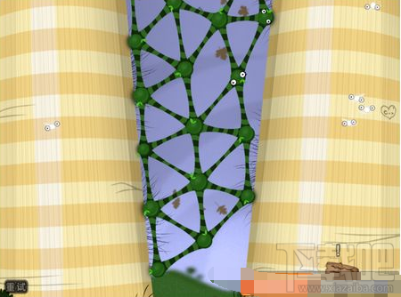 粘粘世界常春藤之塔怎么过?