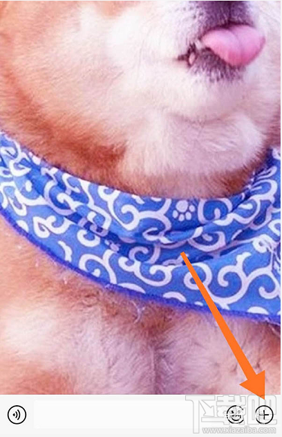 微信红包封面序列号怎么添加?