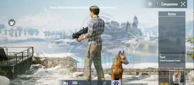 和平精英宠物狗怎么样?SS6赛季宠物狗介绍