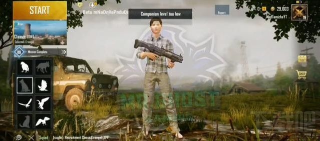 和平精英宠物狗怎么样?SS6赛季宠物狗介绍