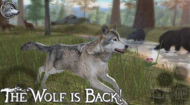 野狼模拟器2怎么收服野狼?收服野狼技巧攻略