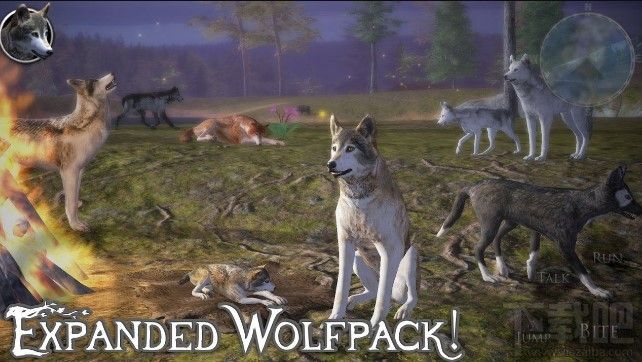 野狼模拟器2怎么收服野狼?收服野狼技巧攻略