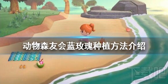 集合啦动物森友会怎么种蓝玫瑰?蓝玫瑰种植方法介绍
