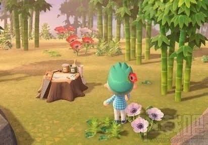 集合啦动物森友会怎么种竹子？竹子种植及家具图纸获取方法一览