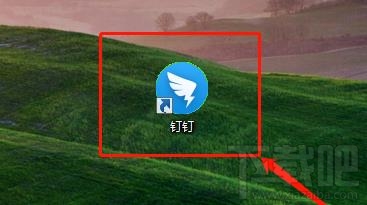 钉钉时区在哪设置?钉钉修改企业地区和时区的教程