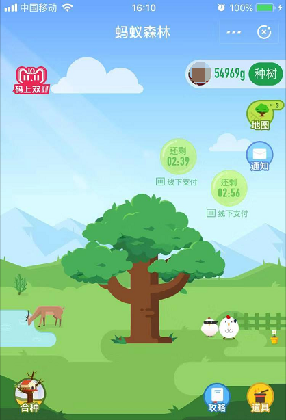 支付宝蚂蚁森林：你改变的不仅仅是虚拟世界